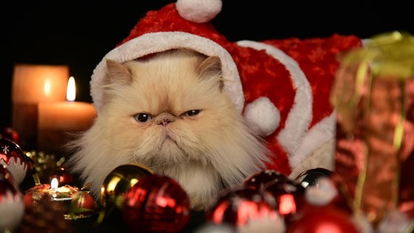 How to Keep Your Christmas Content Compliant (and Stress-Free)