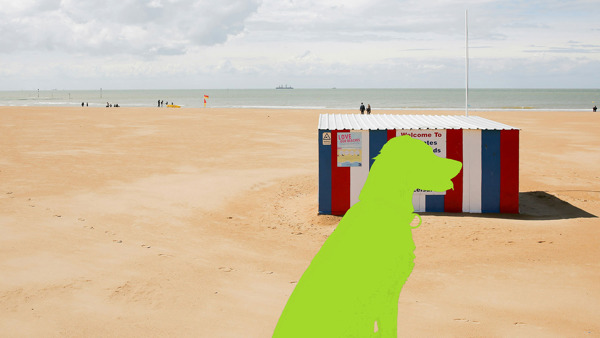 The Curious Case of the Dog on the Beach